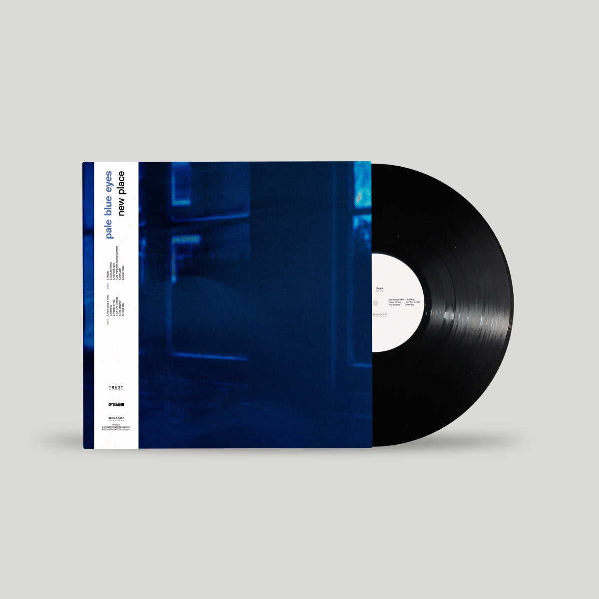 Pale Blue Eyes' New Black Vinyl LP - New Place, A Musical New Beginning